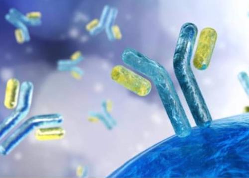 Nature 一次接种提供近乎完全的保护效果 强生新冠疫苗动物实验结果显著