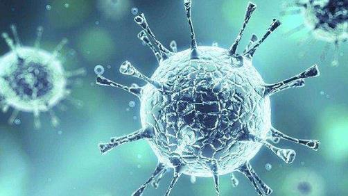 Nature 大规模筛选发现21种现有抗新冠病毒药物