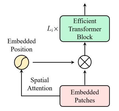 Vision Transformer Advanced by Exploring Inductive Bias for Image Recognition and Beyond