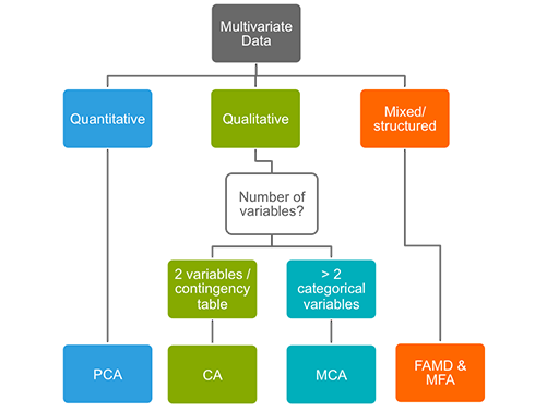 Introduction to Analysis in Several Variables