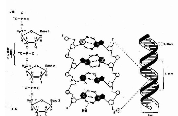 BOLTZDESIGN1: INVERTING ALL-ATOM STRUCTURE PREDICTION MODEL FOR GENERALIZED BIOMOLECULAR BINDER DESI