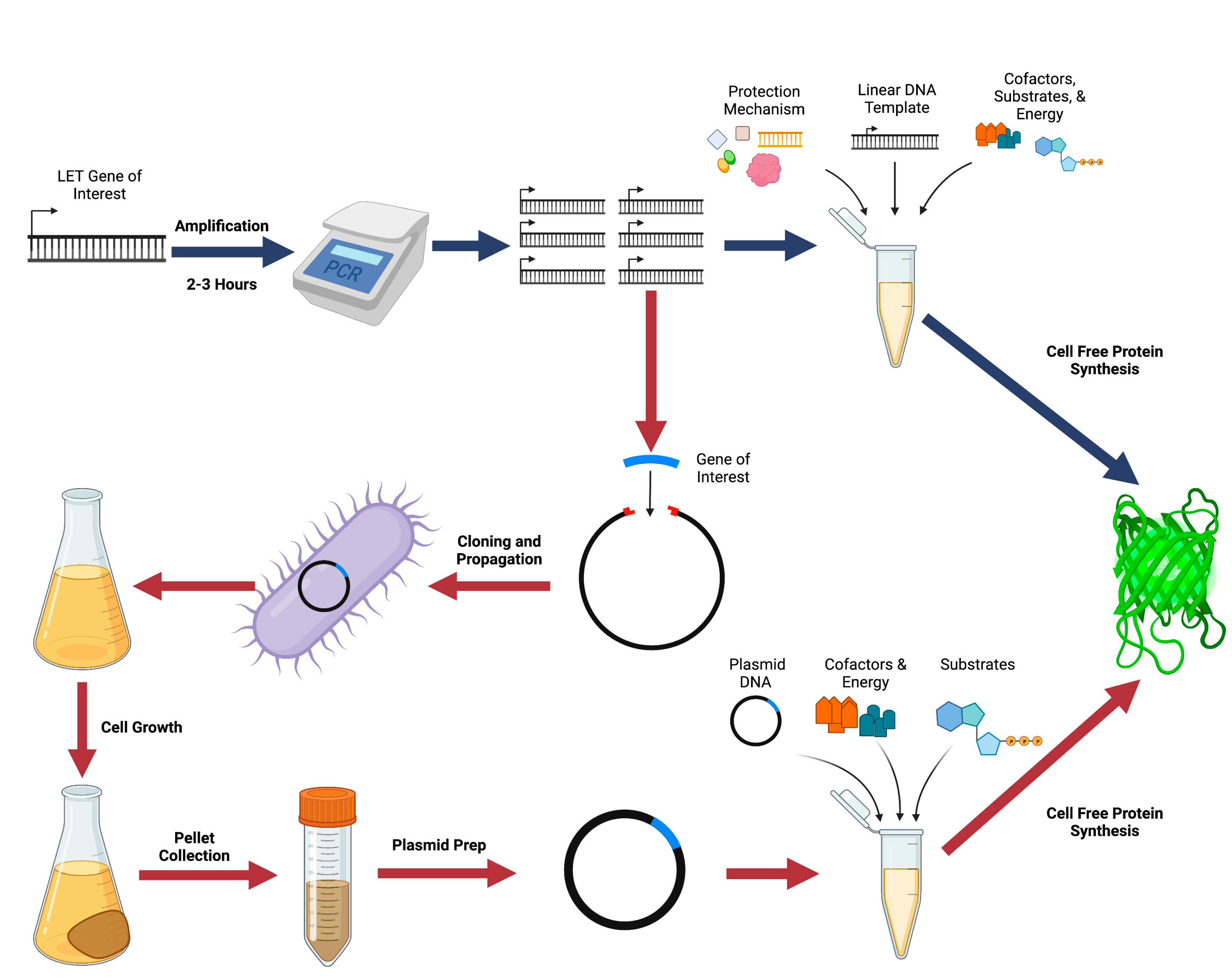 DeepMind发布DNA序列模型AlphaGenome