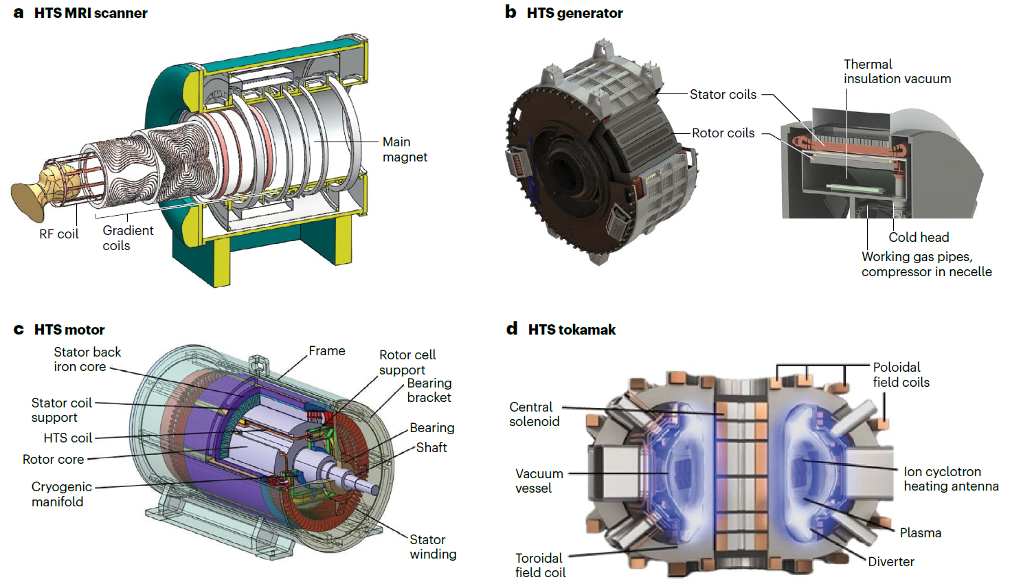 High temperature superconducting rotating electrical machines