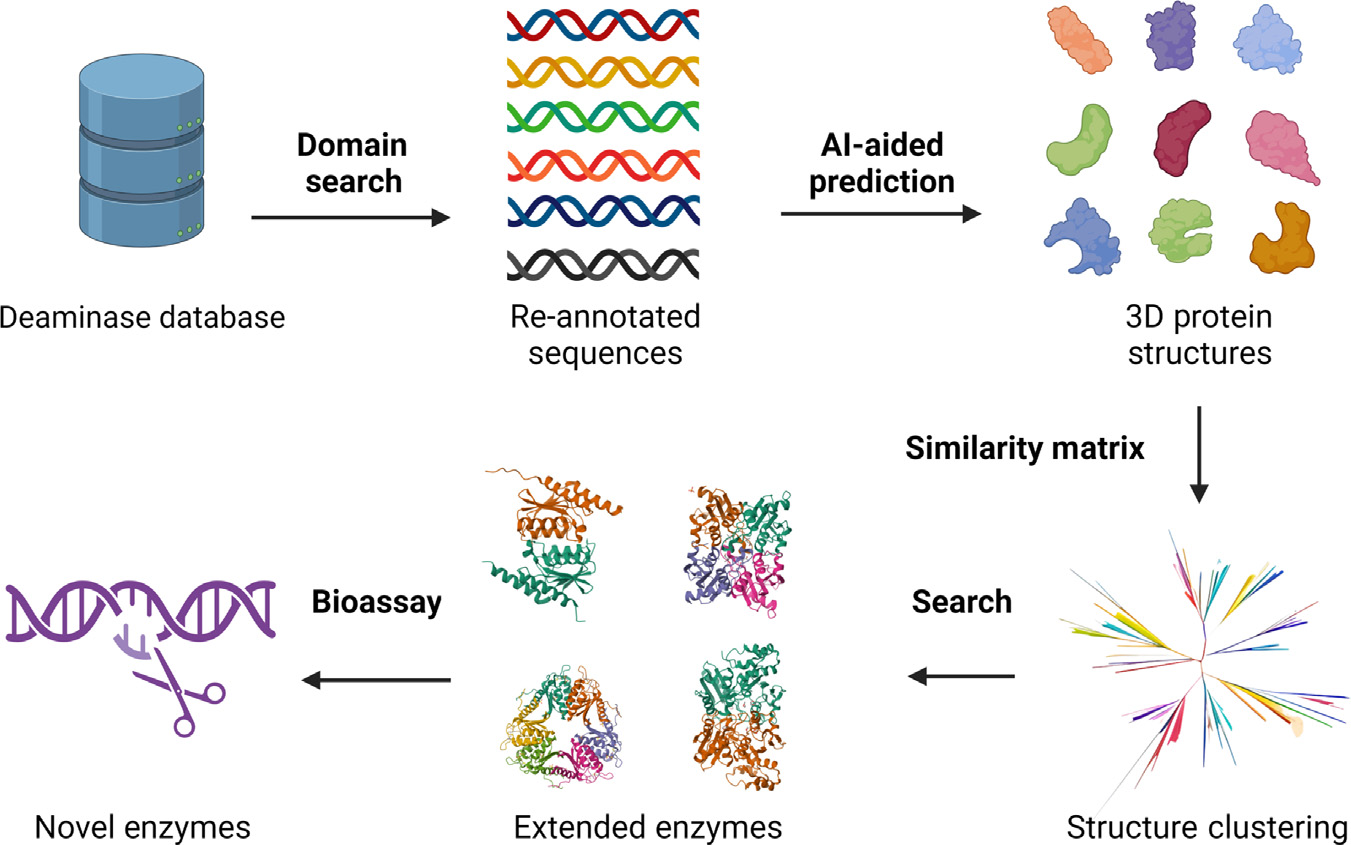 Deep learning guided design of protease substrates