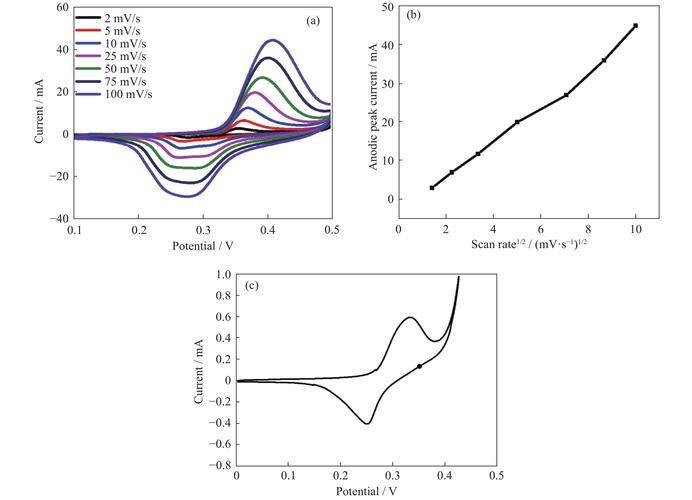 World Action Verifier: Self-Improving World Models via Forward-Inverse Asymmetry